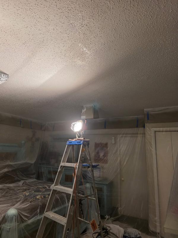Work light and ladder set for ceiling finishing