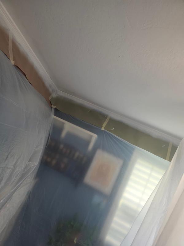 Ceiling painted, plastic still up on the walls